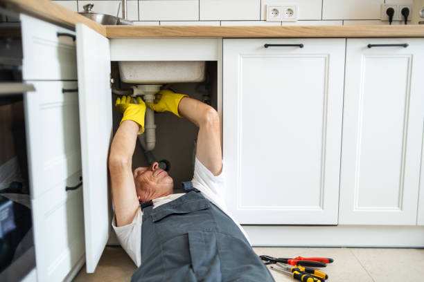 Best Commercial Plumbing Services  in Greenville, DE